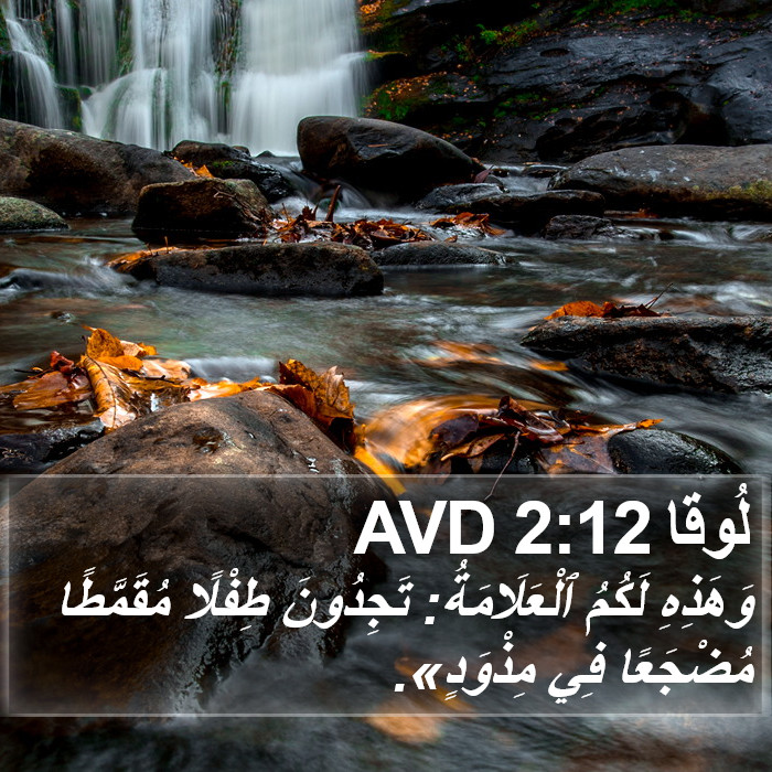 لُوقا 2:12 AVD Bible Study