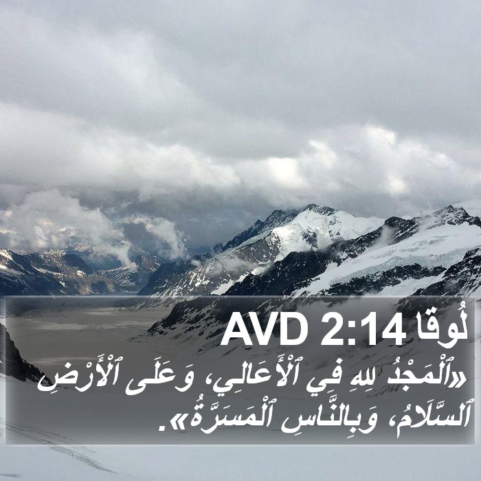 لُوقا 2:14 AVD Bible Study