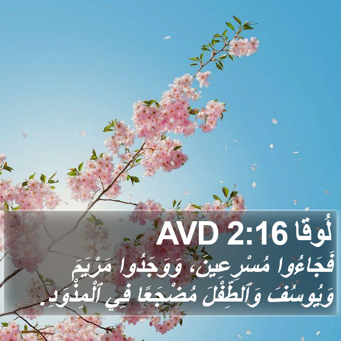 لُوقا 2:16 AVD Bible Study