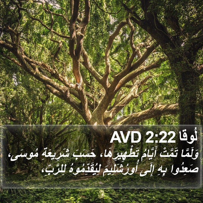 لُوقا 2:22 AVD Bible Study