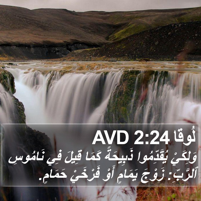 لُوقا 2:24 AVD Bible Study