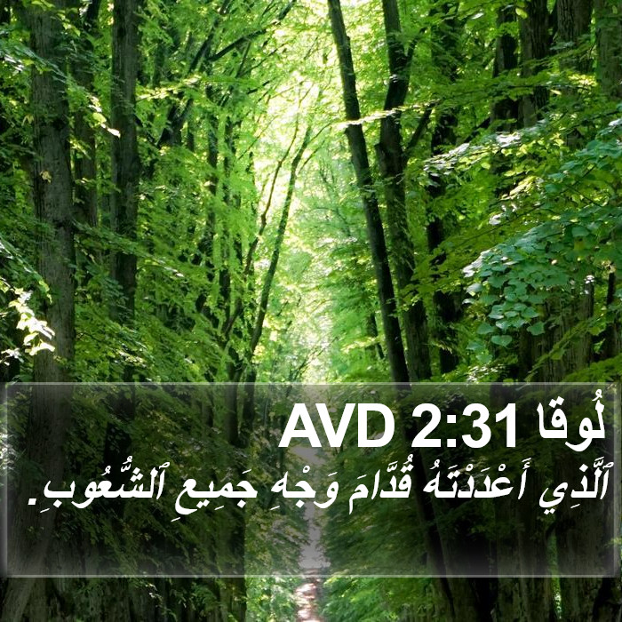 لُوقا 2:31 AVD Bible Study