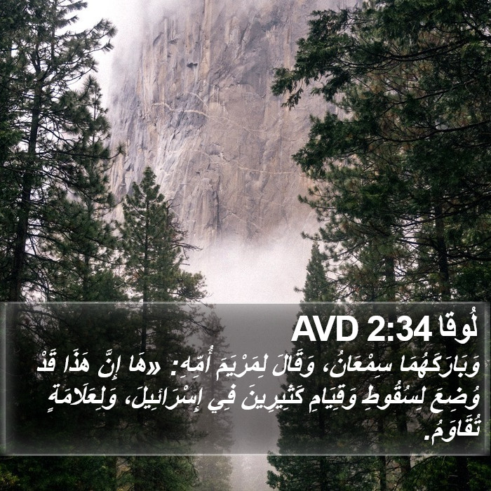 لُوقا 2:34 AVD Bible Study