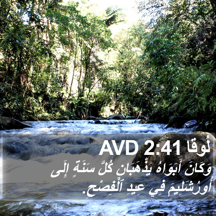 لُوقا 2:41 AVD Bible Study