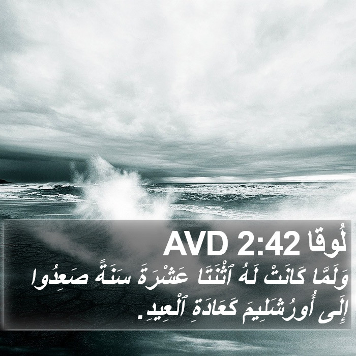لُوقا 2:42 AVD Bible Study
