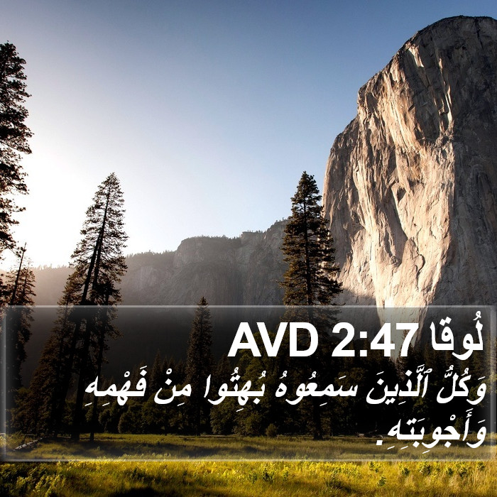 لُوقا 2:47 AVD Bible Study
