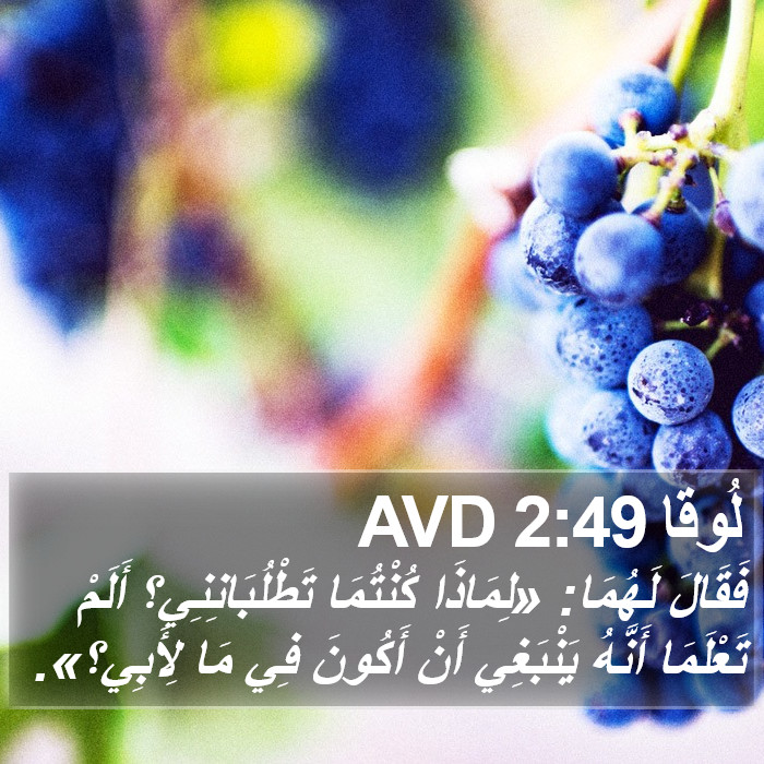 لُوقا 2:49 AVD Bible Study