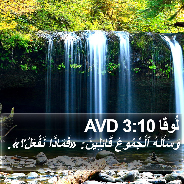 لُوقا 3:10 AVD Bible Study