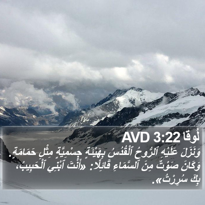 لُوقا 3:22 AVD Bible Study