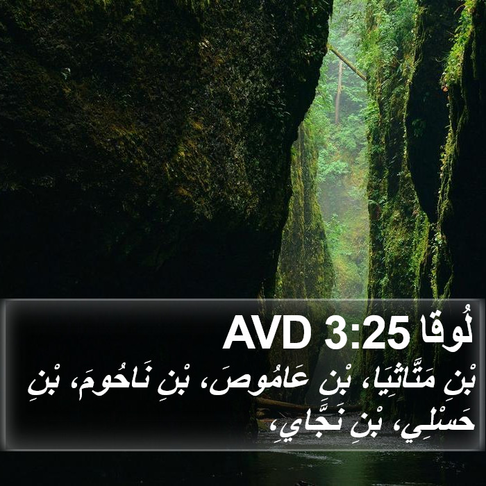 لُوقا 3:25 AVD Bible Study