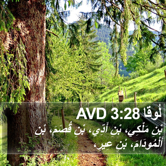 لُوقا 3:28 AVD Bible Study