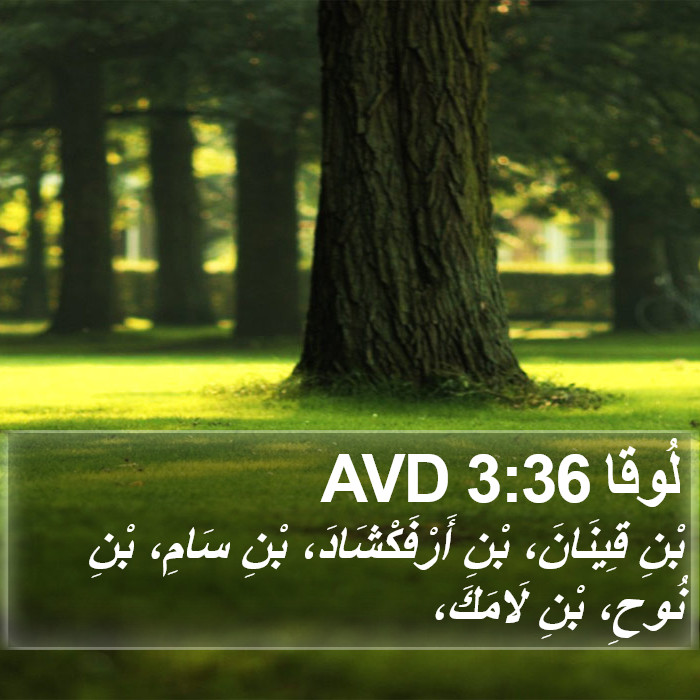 لُوقا 3:36 AVD Bible Study