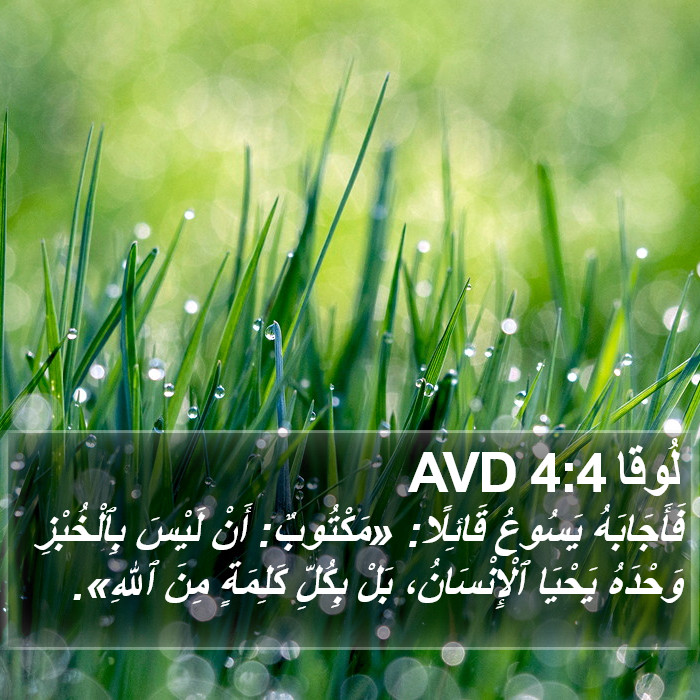 لُوقا 4:4 AVD Bible Study
