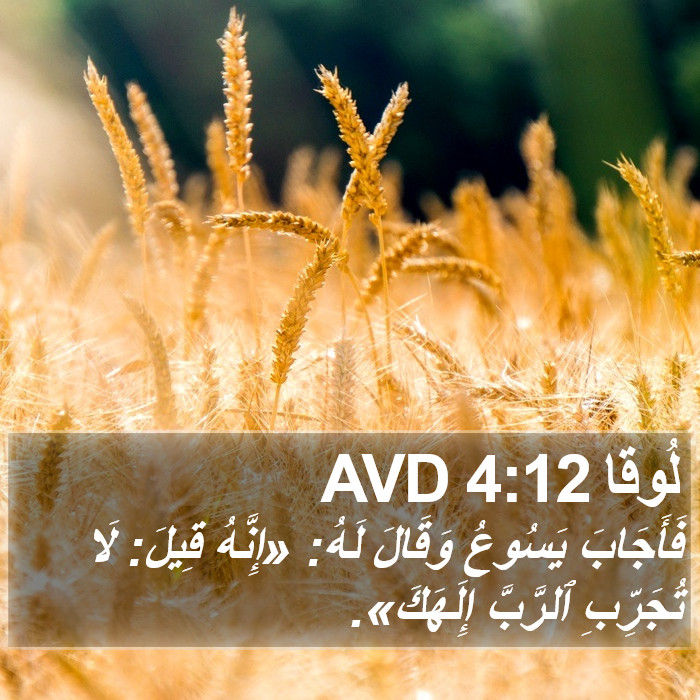 لُوقا 4:12 AVD Bible Study
