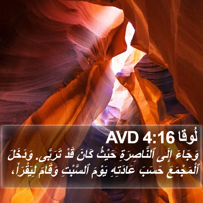 لُوقا 4:16 AVD Bible Study