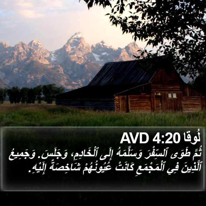 لُوقا 4:20 AVD Bible Study