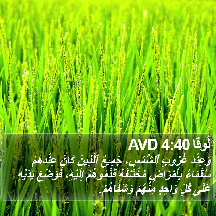لُوقا 4:40 AVD Bible Study