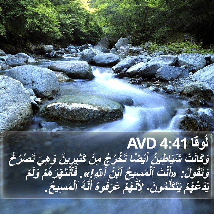 لُوقا 4:41 AVD Bible Study