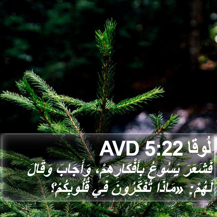لُوقا 5:22 AVD Bible Study