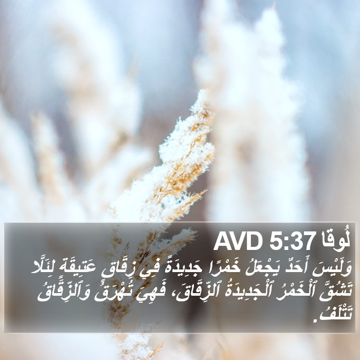 لُوقا 5:37 AVD Bible Study
