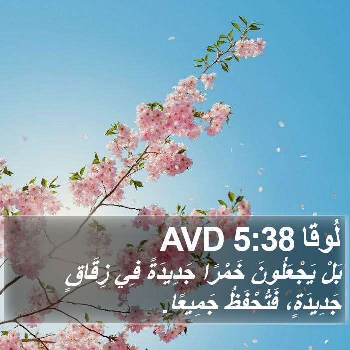 لُوقا 5:38 AVD Bible Study