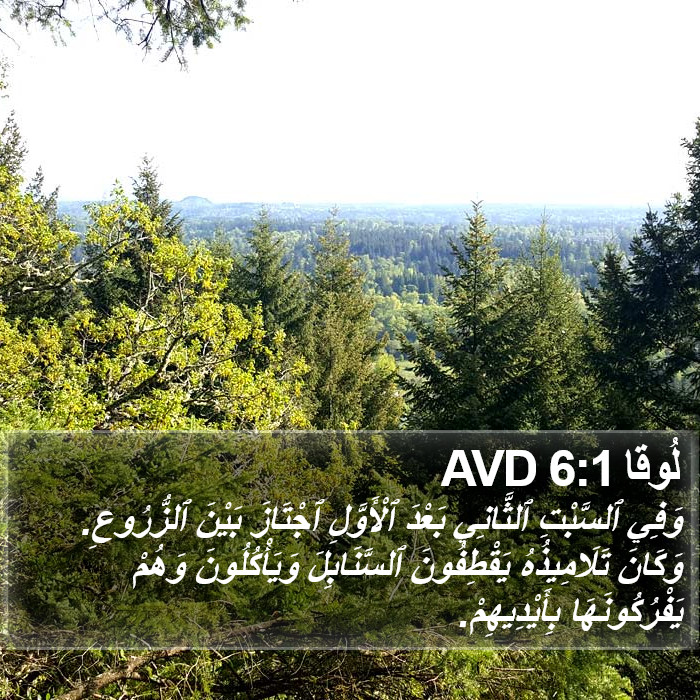 لُوقا 6:1 AVD Bible Study
