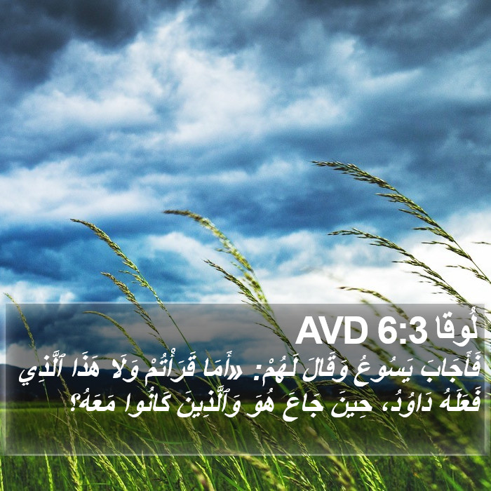 لُوقا 6:3 AVD Bible Study