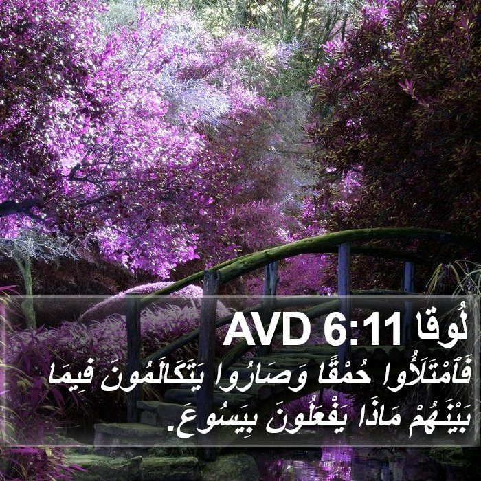 لُوقا 6:11 AVD Bible Study