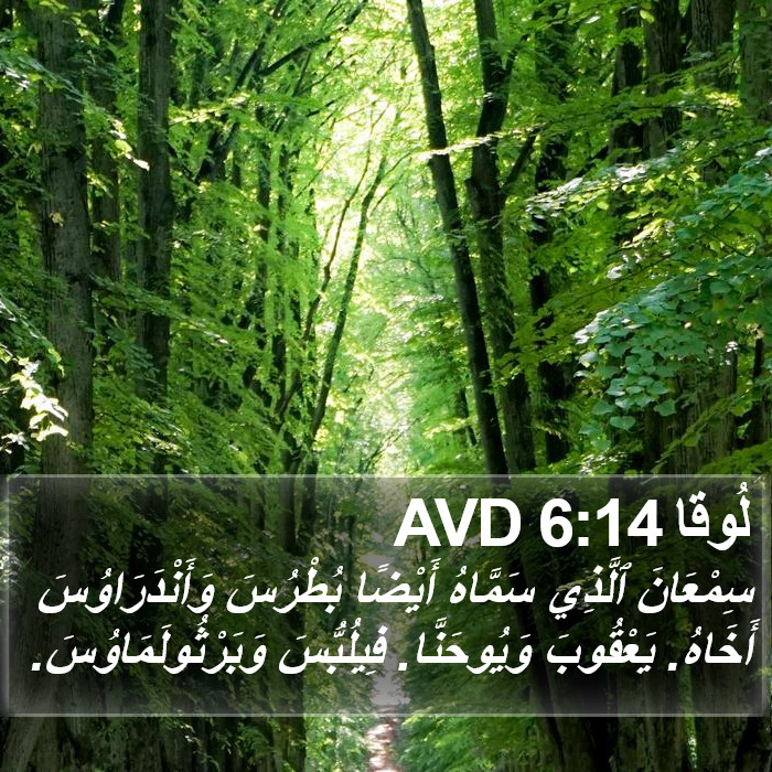 لُوقا 6:14 AVD Bible Study