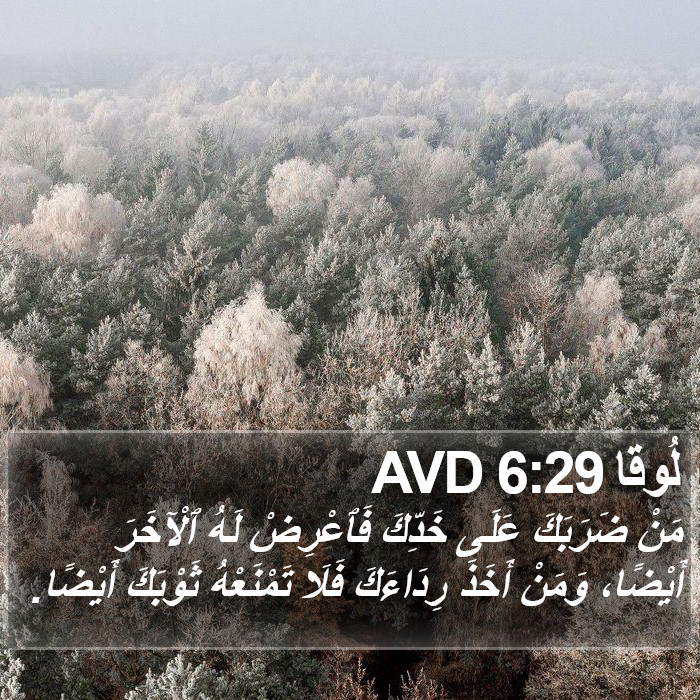 لُوقا 6:29 AVD Bible Study
