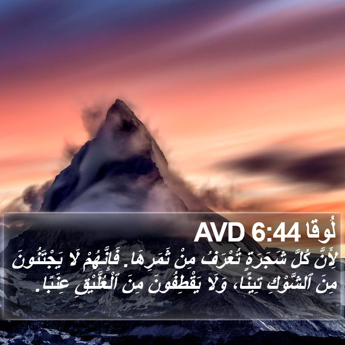 لُوقا 6:44 AVD Bible Study
