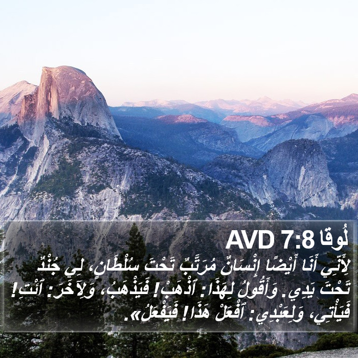 لُوقا 7:8 AVD Bible Study