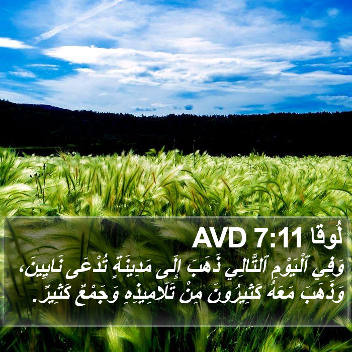 لُوقا 7:11 AVD Bible Study