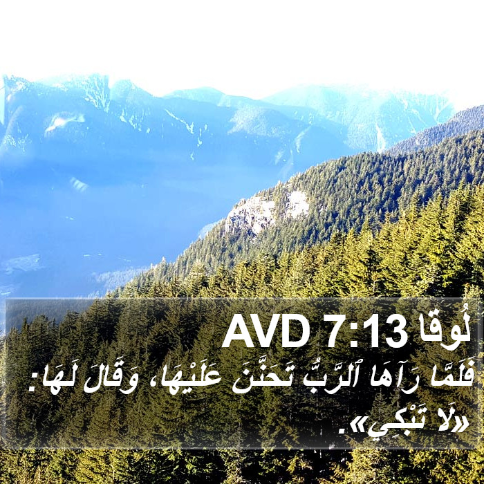 لُوقا 7:13 AVD Bible Study