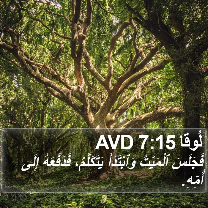 لُوقا 7:15 AVD Bible Study
