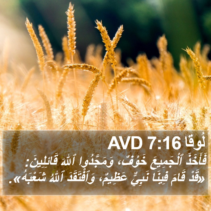 لُوقا 7:16 AVD Bible Study