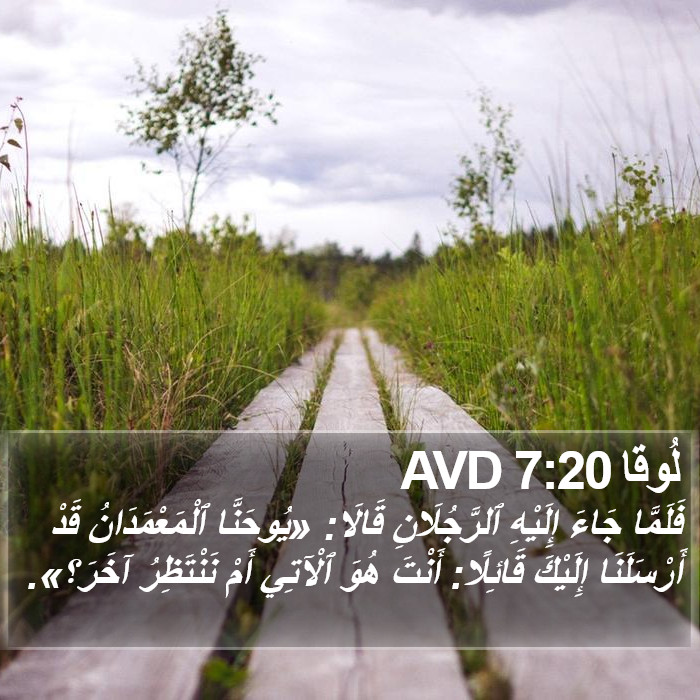 لُوقا 7:20 AVD Bible Study