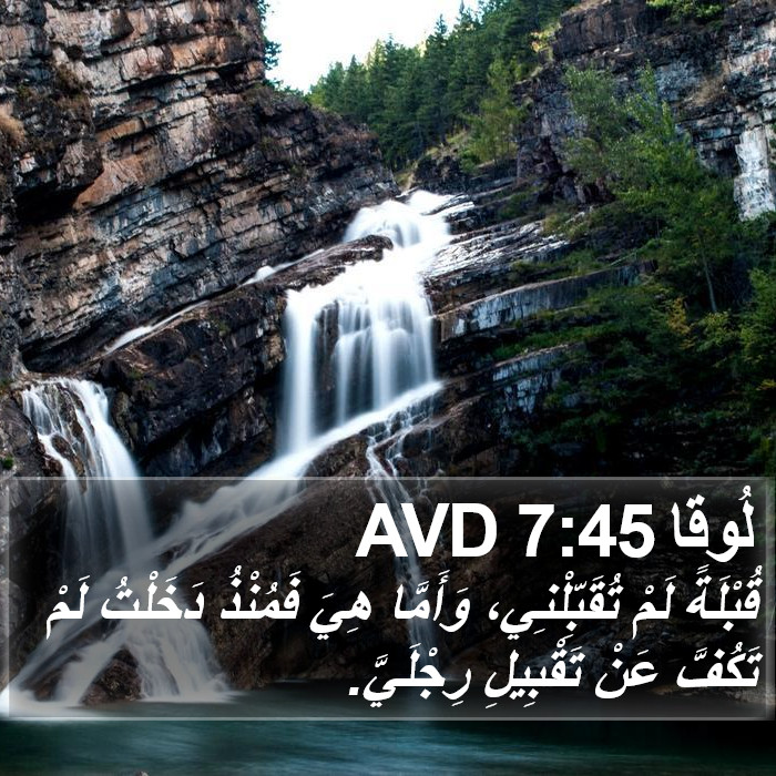 لُوقا 7:45 AVD Bible Study
