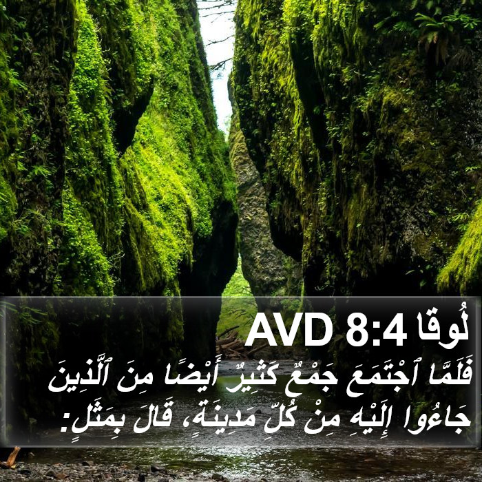لُوقا 8:4 AVD Bible Study