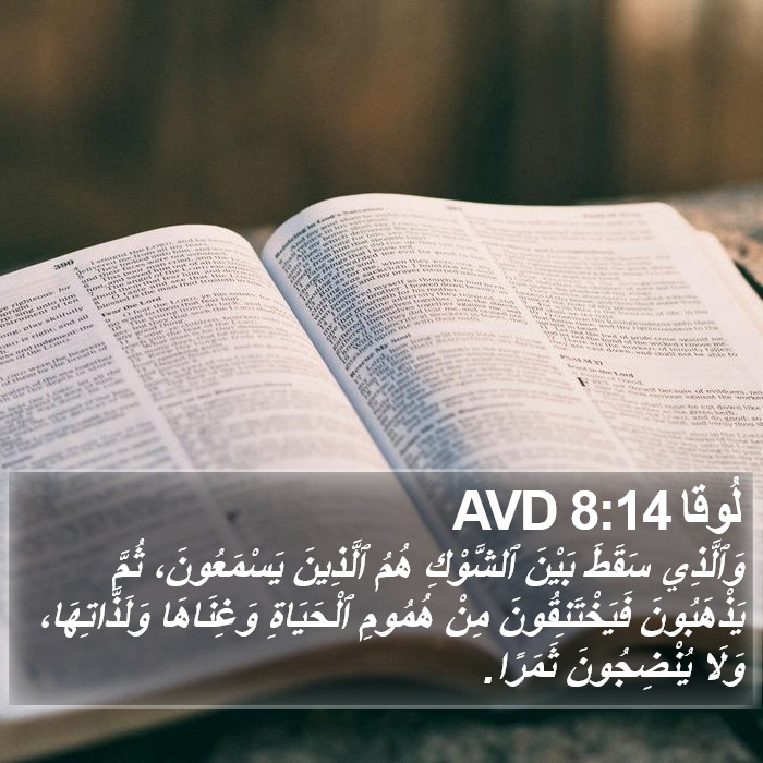 لُوقا 8:14 AVD Bible Study