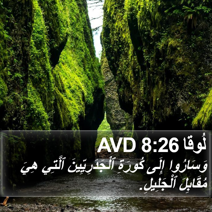 لُوقا 8:26 AVD Bible Study