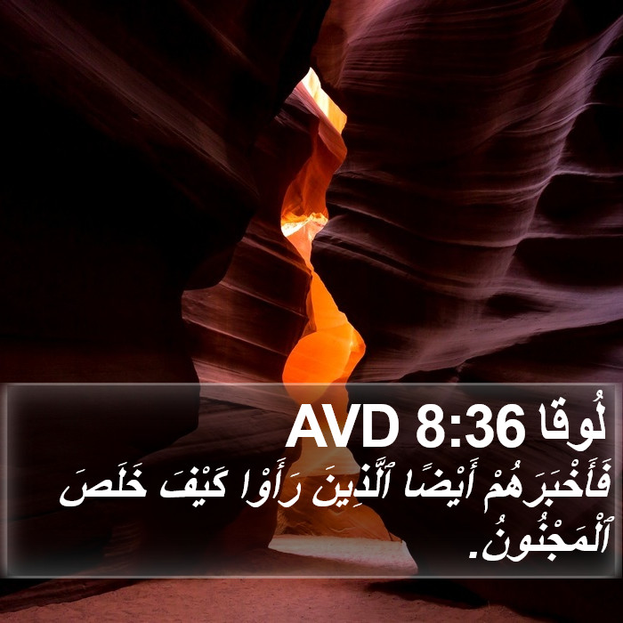 لُوقا 8:36 AVD Bible Study
