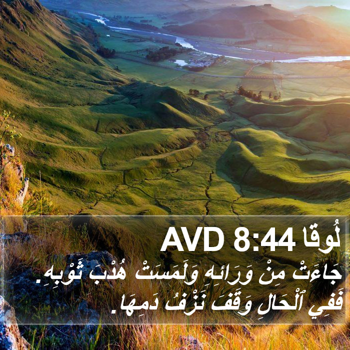 لُوقا 8:44 AVD Bible Study