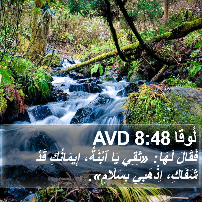لُوقا 8:48 AVD Bible Study