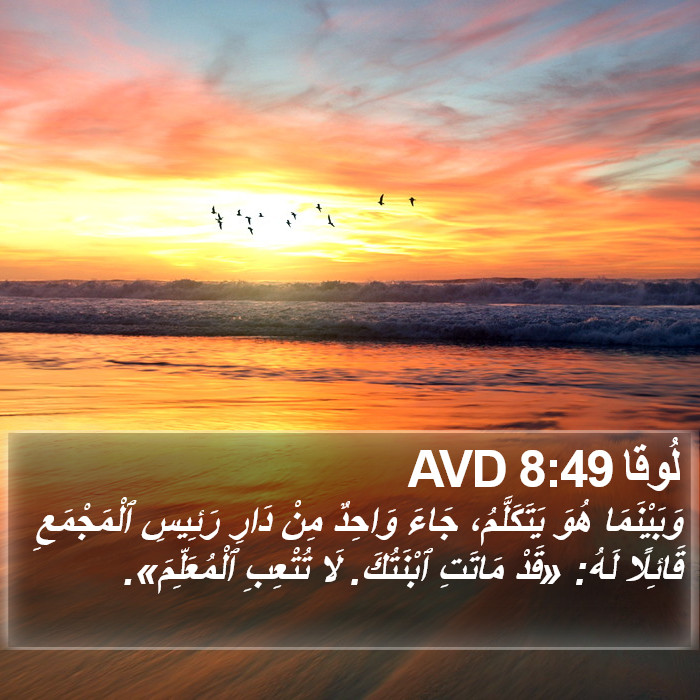 لُوقا 8:49 AVD Bible Study