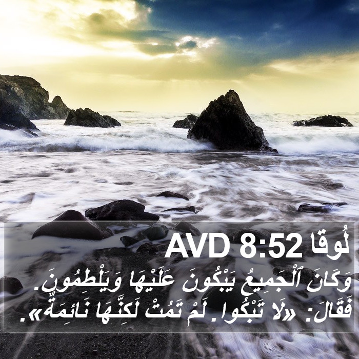 لُوقا 8:52 AVD Bible Study