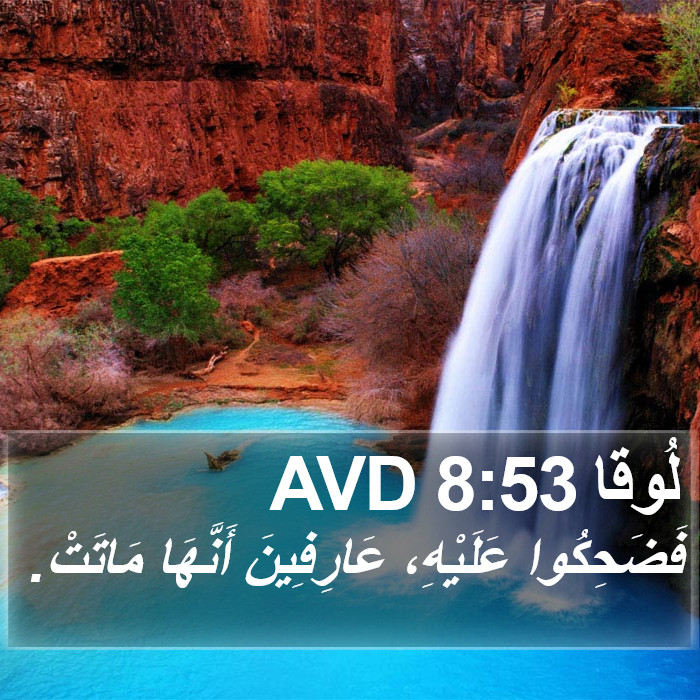 لُوقا 8:53 AVD Bible Study