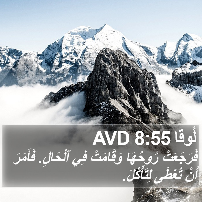 لُوقا 8:55 AVD Bible Study
