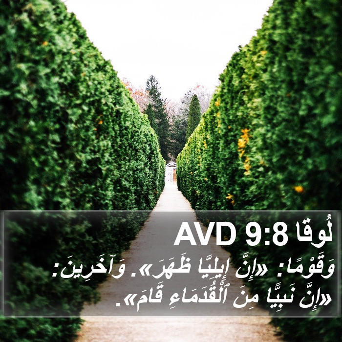 لُوقا 9:8 AVD Bible Study