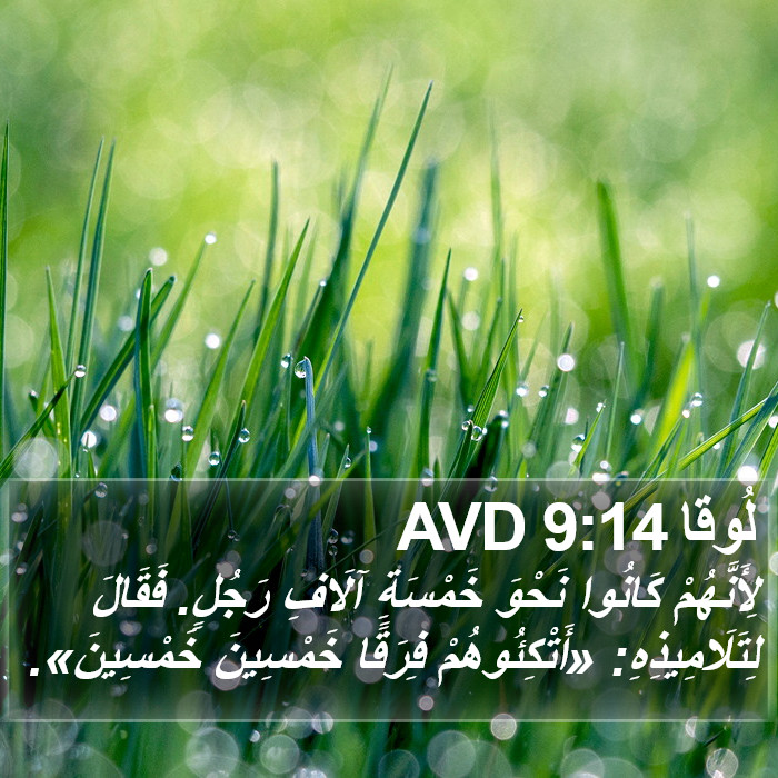 لُوقا 9:14 AVD Bible Study